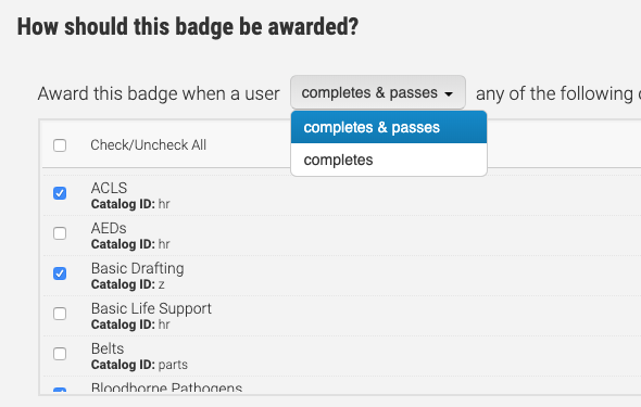 Badge Requirements